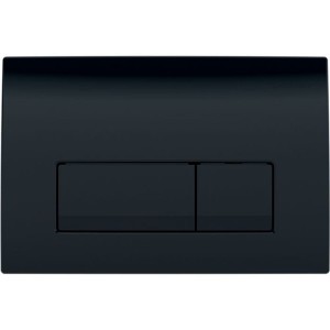 Przycisk do WC Delta50 prostokątny RAL 9005 czarny